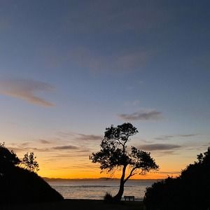 Meet your Posher, Caro